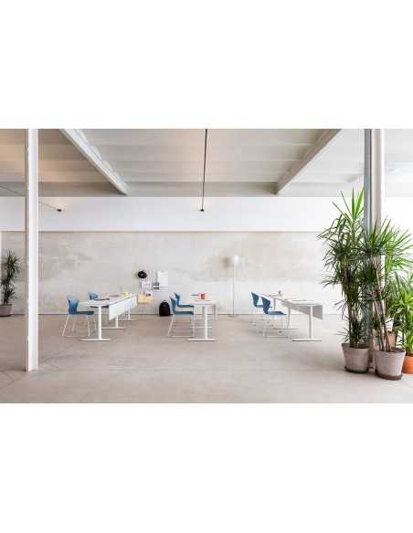 SILLA WHASS DE ACTIU