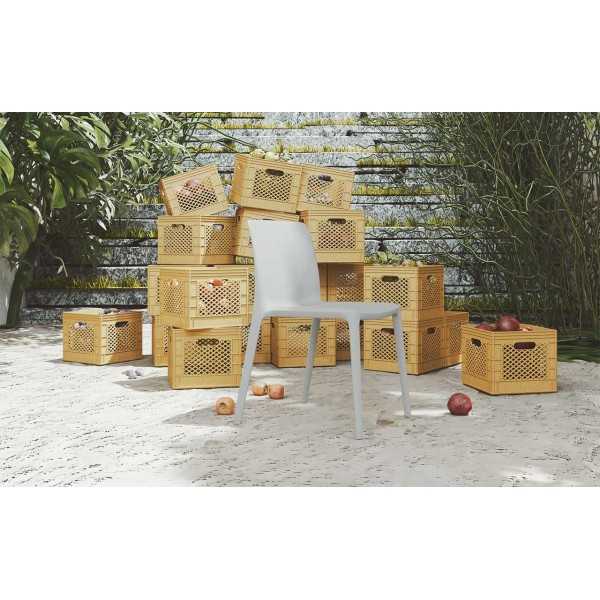 SILLA FLUIT DE ACTIU