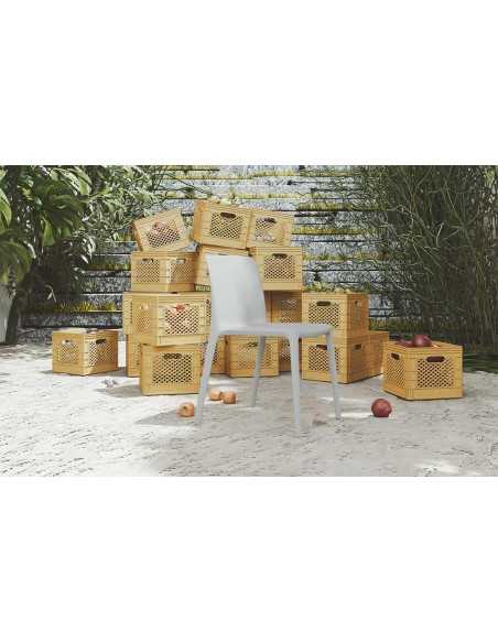 SILLA FLUIT DE ACTIU