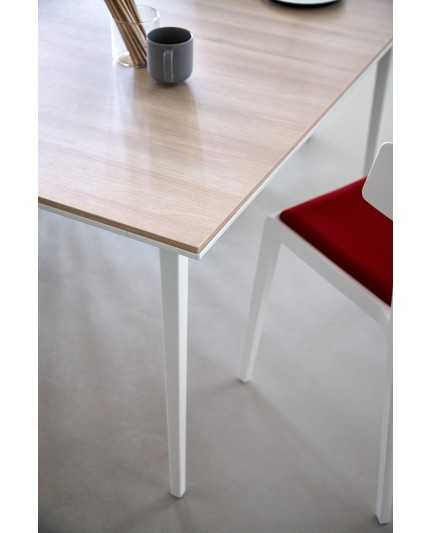 MESA LONGO DE ACTIU 2